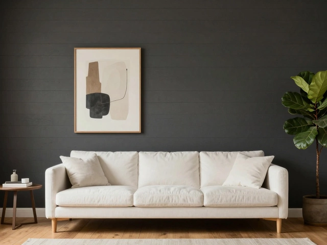 Is Shiplap Out of Style in 2024? What’s Really Trending in Wall Finishes